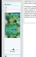 screenshot-1.jpg