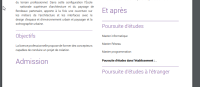 2020-12-11 16_23_53-Licence Professionnelle Design.pdf.png