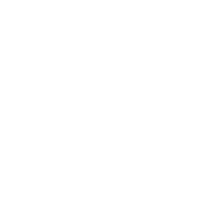 v.png